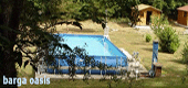 wooden cabins with swimming pool