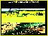 Generated Collision Images