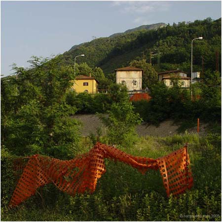 orange1