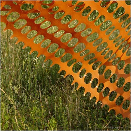 orange11