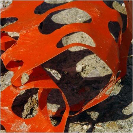 orange38