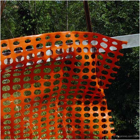 orange46