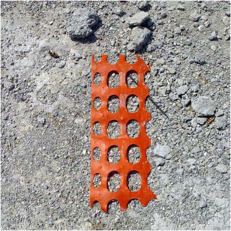 orange49