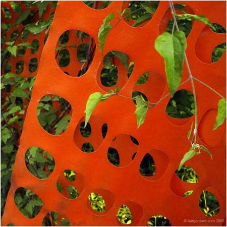 orange6