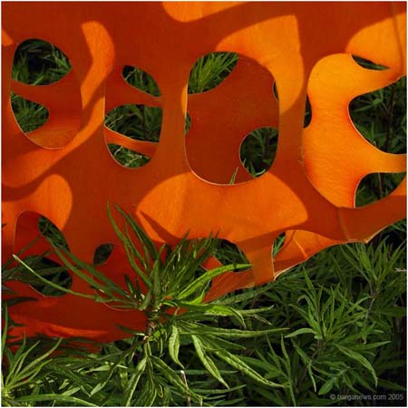 orange8