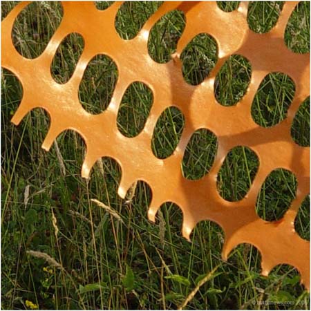 orange9