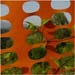 orange13