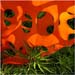 orange7
