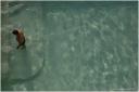 swimming pool at Hotel Villa Moorings