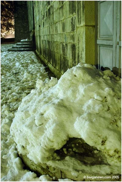 barganews image 3