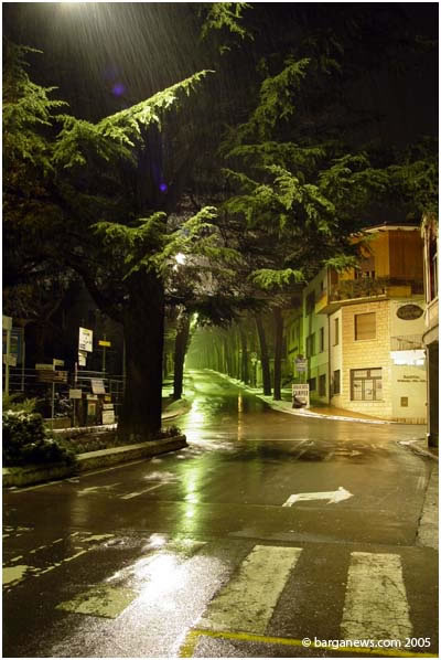 barganews image 5