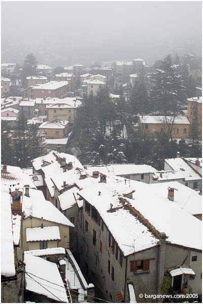 barganews image 4