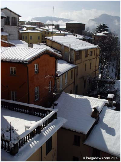 barganews image 2