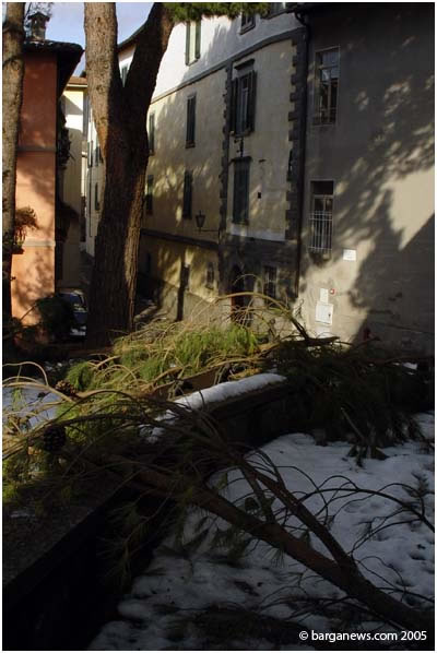 barganews image 4