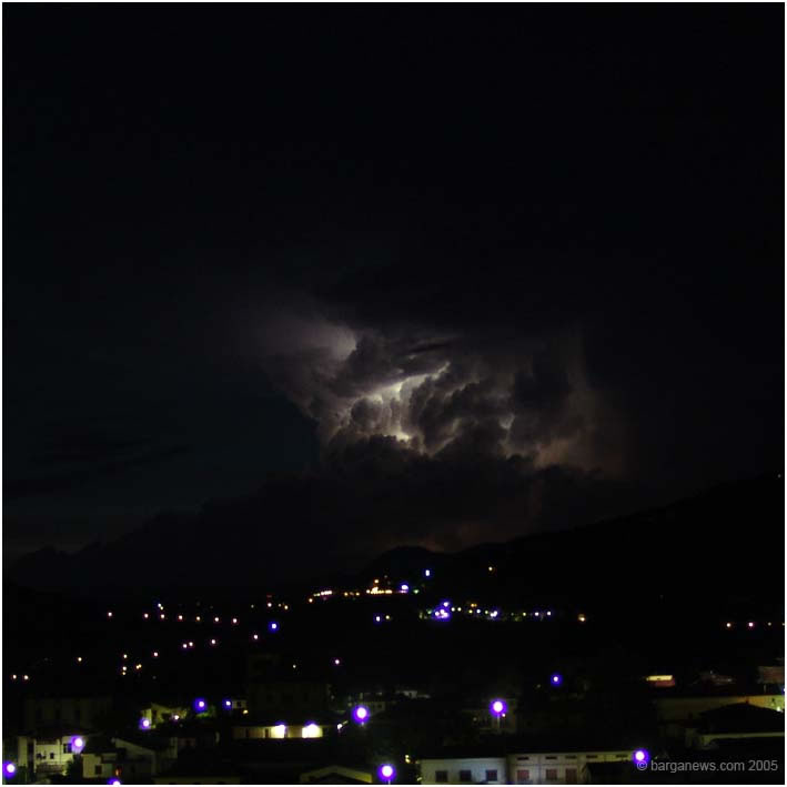 barganews image 1