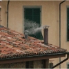 barga-_25165