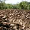 barganews-vegetable-garden-orto-barga-2009001.jpg