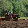 barganews-vegetable-garden-orto-barga-2009007.jpg