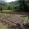 barganews-vegetable-garden-orto-barga-2009010.jpg