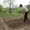 barganews-vegetable-garden-orto-barga-2009014.jpg