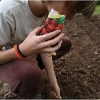 barganews-vegetable-garden-orto-barga-2009015.jpg