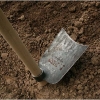barganews-vegetable-garden-orto-barga-2009016.jpg
