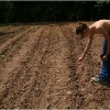 barganews-vegetable-garden-orto-barga-2009017.jpg