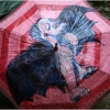 los-caprichos-umbrellas-in-barga-2009003
