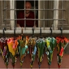 painted-umbrellas-in-barga-2009024