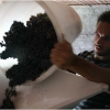 vendemmia-grape-picking-in-barga-2009010