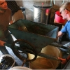 vendemmia-grape-picking-in-barga-2009019