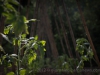images from daily life in barga