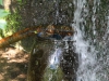 images from daily life in barga