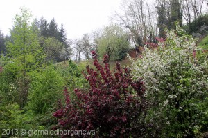 primavera a Catagnana