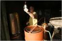 {barganews} Last stage of the vendemmia - grappa making