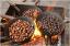 {barganews} Roast chestnuts in Barga Vecchia