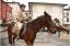 {barganews} Don Stefano blesses the animals