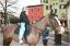 {barganews} Don Stefano blesses the animals