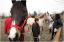 {barganews} Don Stefano blesses the animals