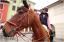{barganews} Don Stefano blesses the animals