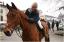 {barganews} Don Stefano blesses the animals
