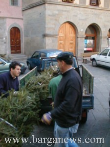 P0000992.jpg