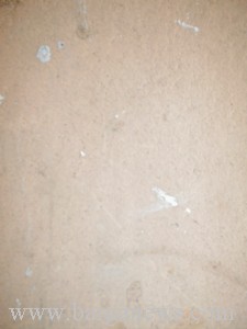P0001330.jpg