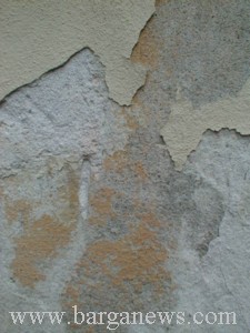 P0001373.jpg