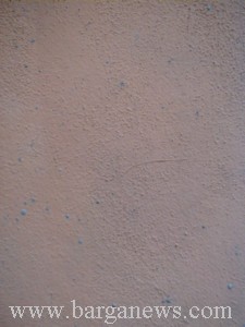 P0001385.jpg