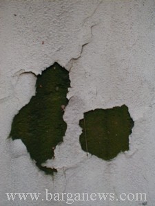 P0001494.jpg