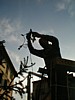 P0001302.jpg