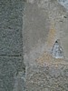P0001746.jpg