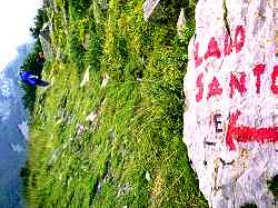 This way to amusement, please