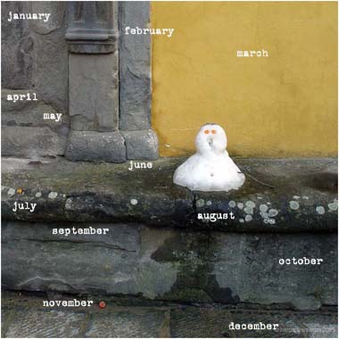 daily images from the ward winning photographer  O'Connor